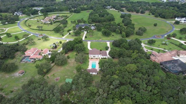 11444 HAMMOCK OAKS CT, Lithia, FL 33547