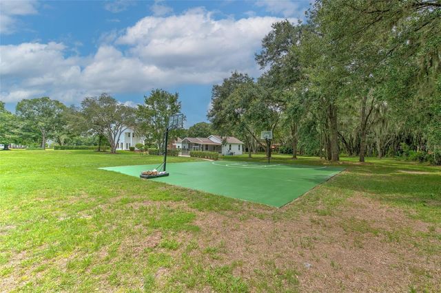 11444 HAMMOCK OAKS CT, Lithia, FL 33547