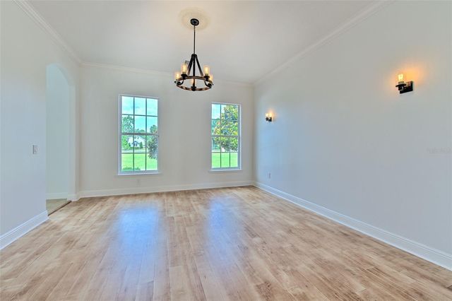 11444 HAMMOCK OAKS CT, Lithia, FL 33547