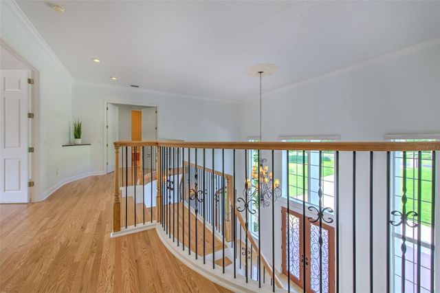 11444 HAMMOCK OAKS CT, Lithia, FL 33547