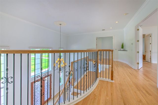 11444 HAMMOCK OAKS CT, Lithia, FL 33547