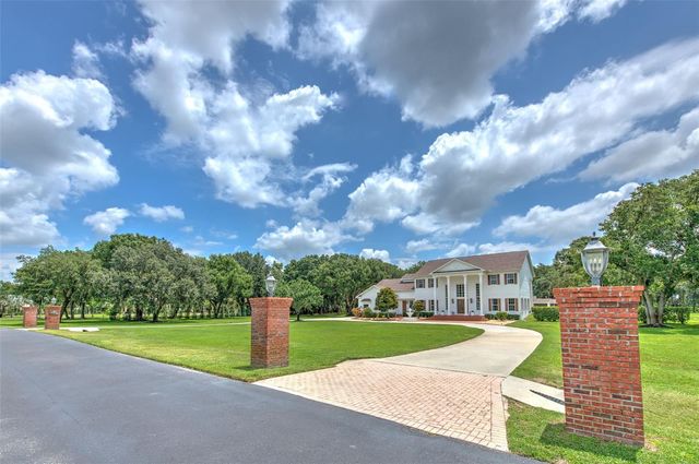 11444 HAMMOCK OAKS CT, Lithia, FL 33547