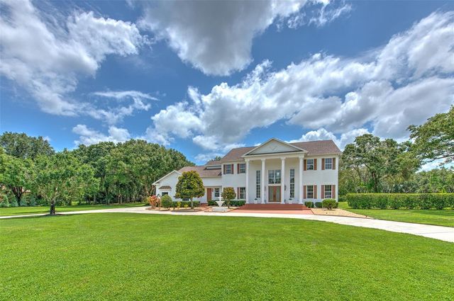 11444 HAMMOCK OAKS CT, Lithia, FL 33547