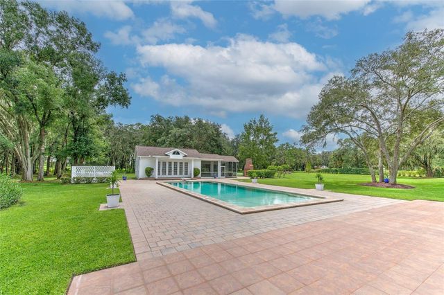 11444 HAMMOCK OAKS CT, Lithia, FL 33547