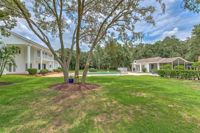 11444 HAMMOCK OAKS CT, Lithia, FL 33547