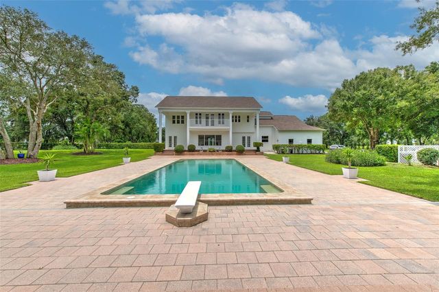 11444 HAMMOCK OAKS CT, Lithia, FL 33547