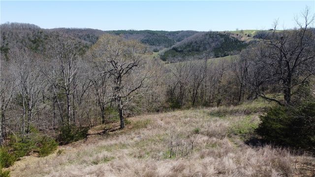 1235 Mercy Mountain Drive, Harrison, AR 72601