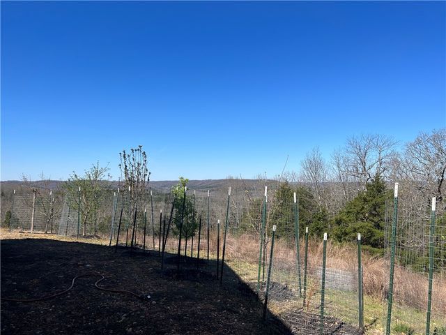 1235 Mercy Mountain Drive, Harrison, AR 72601