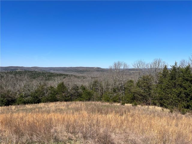 1235 Mercy Mountain Drive, Harrison, AR 72601