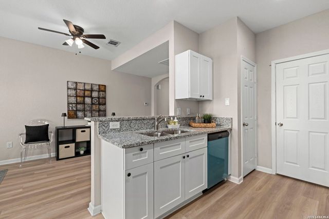 611 Whiting, San Antonio, TX 78210