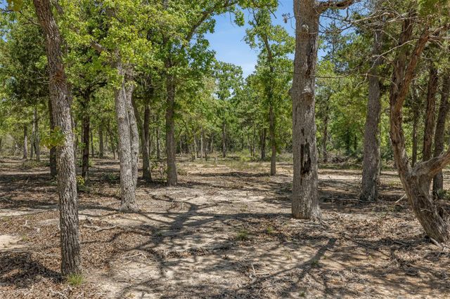 456 Lincoln Lake RD A, Paige, TX 78659