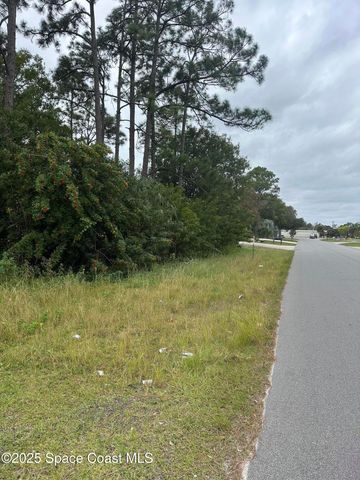 1756 Agora Circle SE, Palm Bay, FL 32909