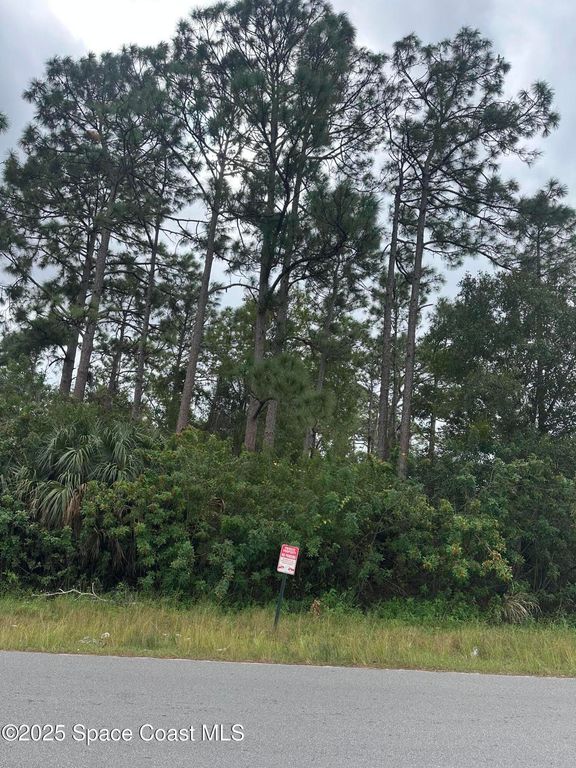 1756 Agora Circle SE, Palm Bay, FL 32909