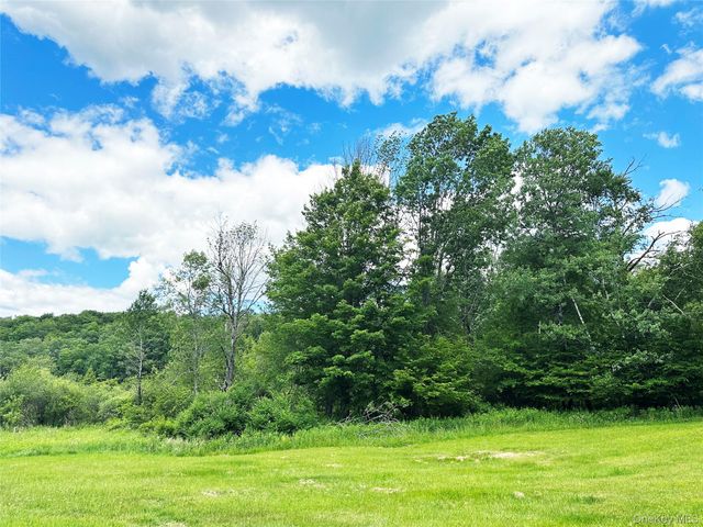 818 Methol Road, Roscoe, NY 12776