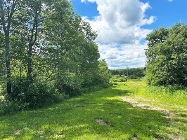 818 Methol Road, Roscoe, NY 12776
