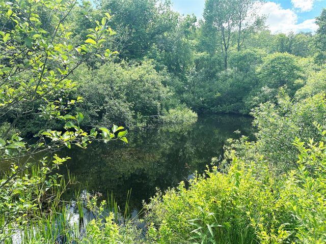 818 Methol Road, Roscoe, NY 12776