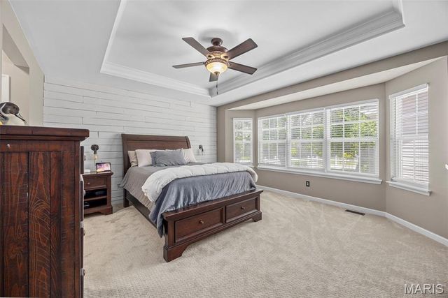 319 Lake Side View Lane, St Peters, MO 63376