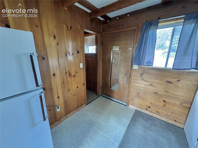 207 E Lake Avenue, Woodland Park, CO 80863