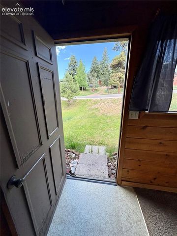 207 E Lake Avenue, Woodland Park, CO 80863