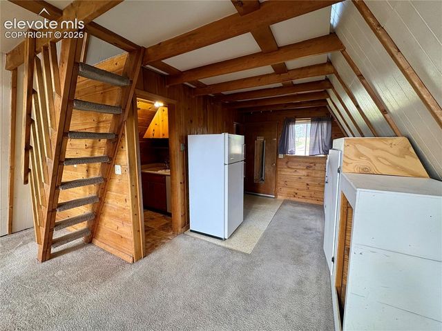 207 E Lake Avenue, Woodland Park, CO 80863
