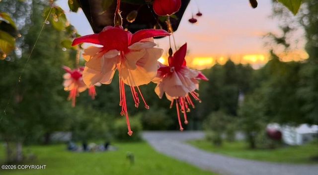 3369 N Alma Drive, Wasilla, AK 99623