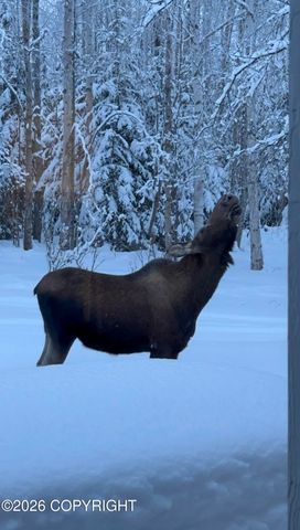 3369 N Alma Drive, Wasilla, AK 99623