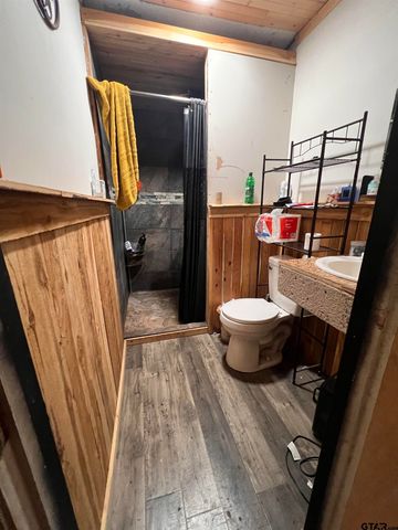 21630 Shady Trail, Chandler, TX 75758