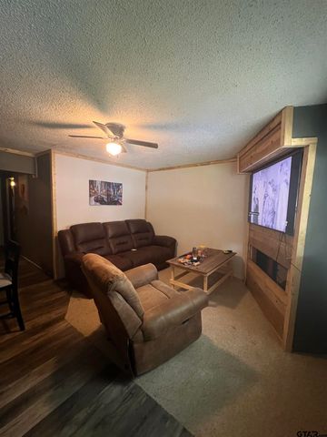 21630 Shady Trail, Chandler, TX 75758