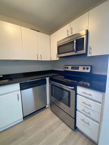 440 N Wabash Avenue 2901, Chicago, IL 60611