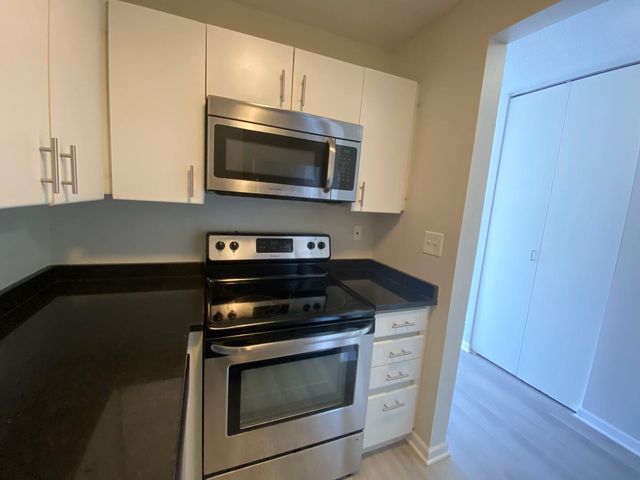 440 N Wabash Avenue 2901, Chicago, IL 60611