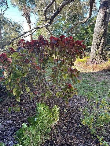 11485 OAKHURST ROAD 200-114, Largo, FL 33774