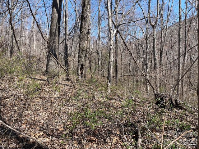 182 Old Mountain Pass, Hendersonville, NC 28792