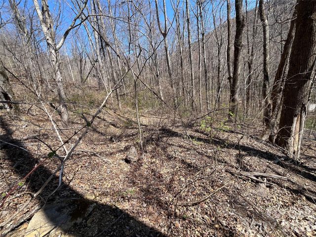 182 Old Mountain Pass, Hendersonville, NC 28792
