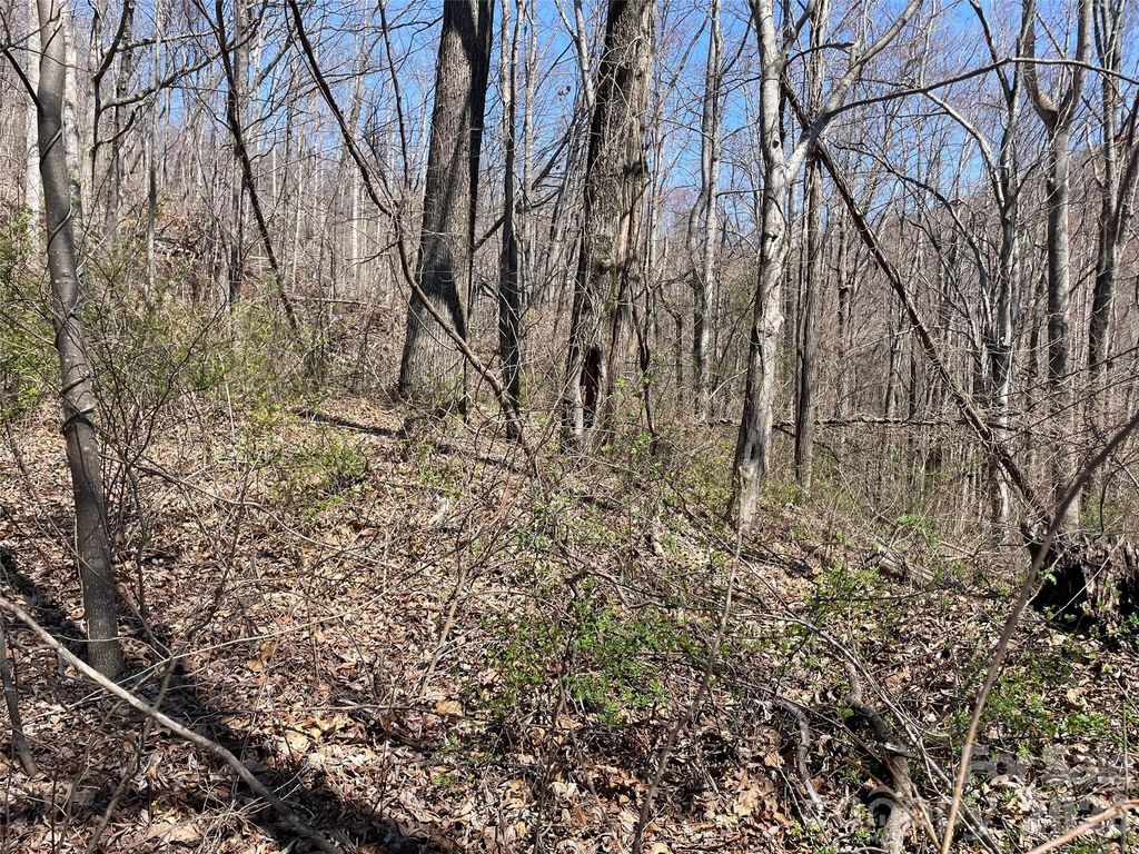182 Old Mountain Pass, Hendersonville, NC 28792