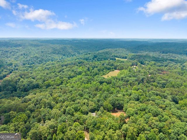 308 Fowler Creek Drive, Cleveland, GA 30528