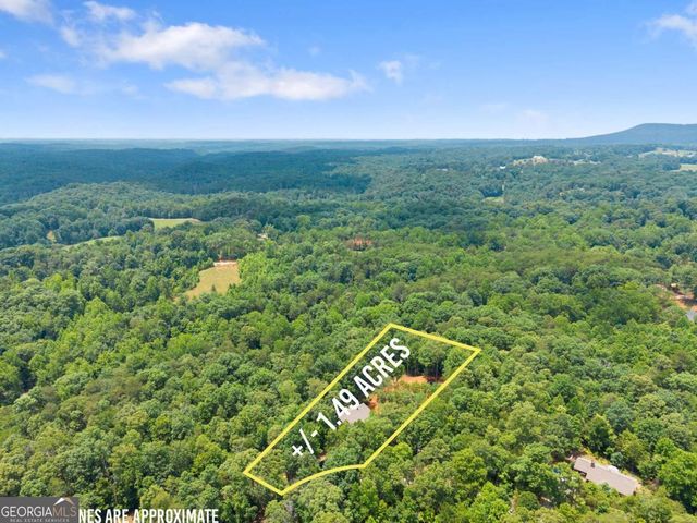 308 Fowler Creek Drive, Cleveland, GA 30528