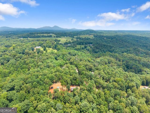 308 Fowler Creek Drive, Cleveland, GA 30528