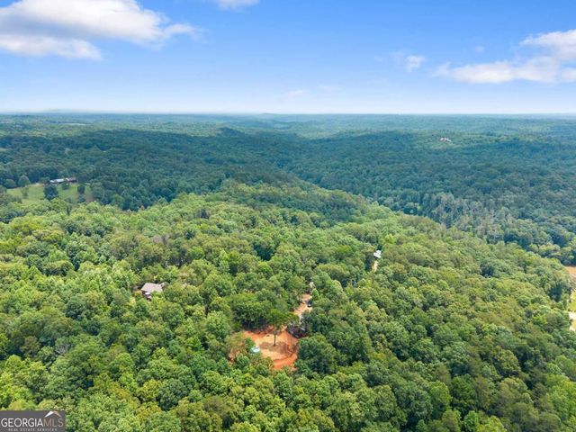 308 Fowler Creek Drive, Cleveland, GA 30528