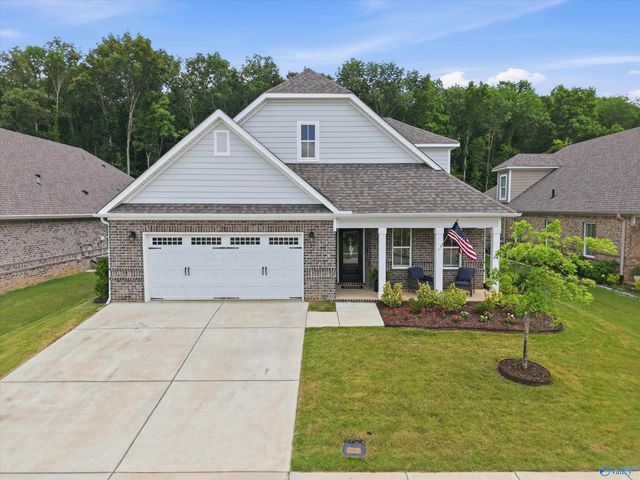 6533 SE Oak Meadow Drive, Owens Cross Roads, AL 35763