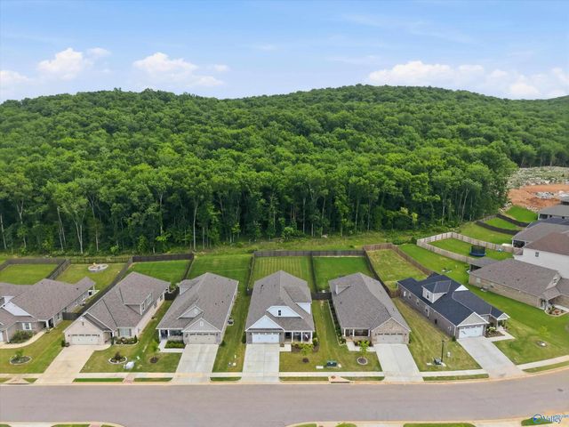 6533 SE Oak Meadow Drive, Owens Cross Roads, AL 35763