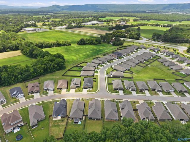 6533 SE Oak Meadow Drive, Owens Cross Roads, AL 35763