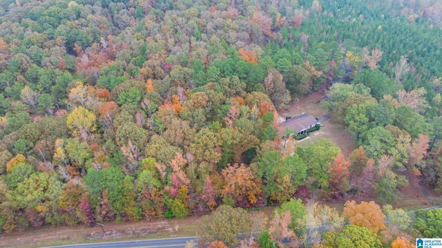 1336 COUNTY ROAD 86, Goodwater, AL 35072