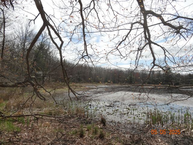 640 S Oak Avenue, Everett Twp, MI 49349