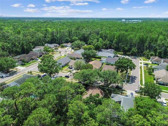 1187 MISTWOOD DRIVE, Tarpon Springs, FL 34688