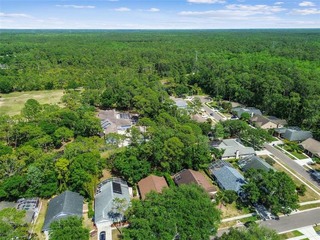 1187 MISTWOOD DRIVE, Tarpon Springs, FL 34688