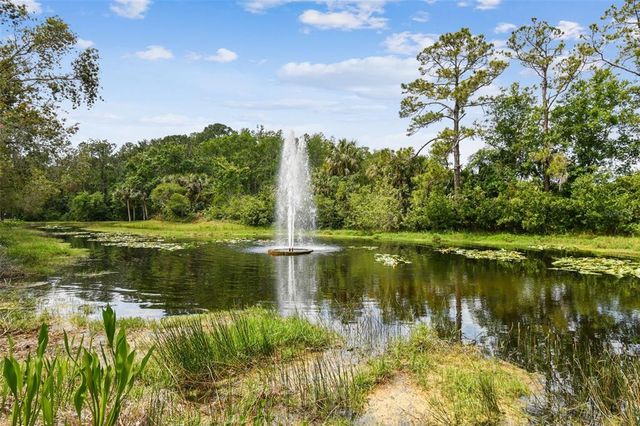 1187 MISTWOOD DRIVE, Tarpon Springs, FL 34688
