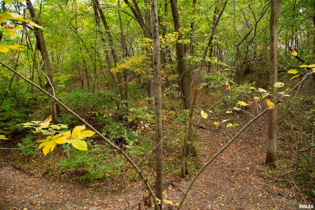 1066 County Road 1150 N Road, Henry, IL 61537