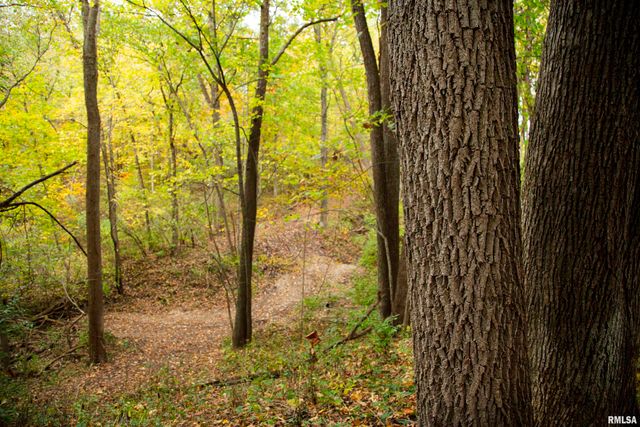 1066 County Road 1150 N Road, Henry, IL 61537