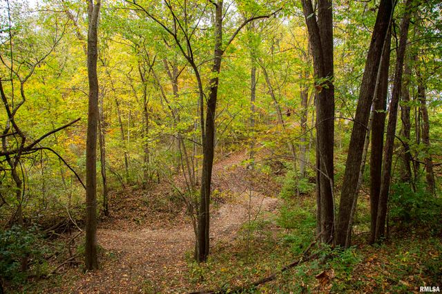 1066 County Road 1150 N Road, Henry, IL 61537