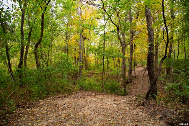 1066 County Road 1150 N Road, Henry, IL 61537